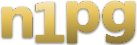 n1pg logo